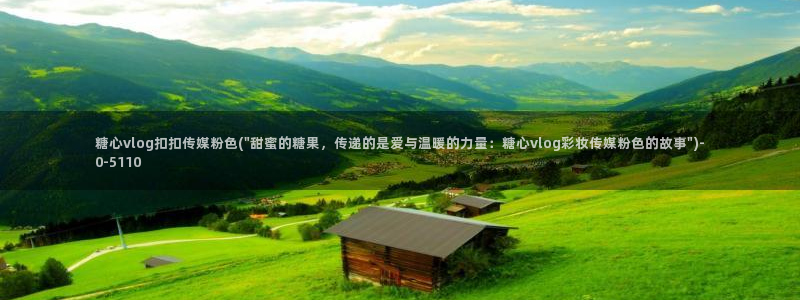 糖心valg