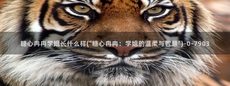 免费糖心.