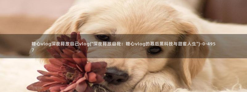 糖 心：糖心vlog深夜释放自己vlog(\