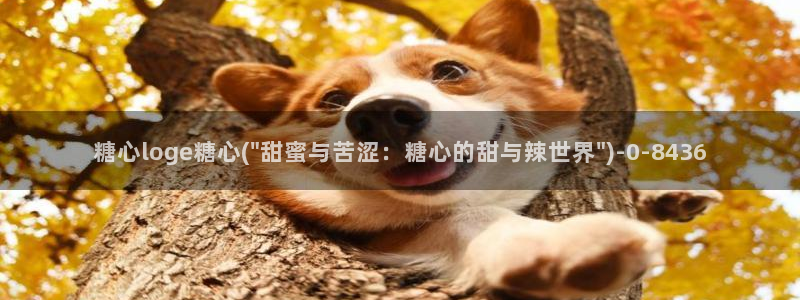 糖心小巨